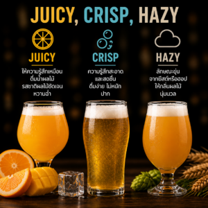 Juicy Crisp Hazy คำศัพท์คราฟต์เบียร์